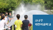 소나무 주요 프로그램 이미지