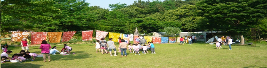 소나무 전시와 자연 풍경